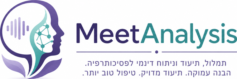 MeetAnalysis